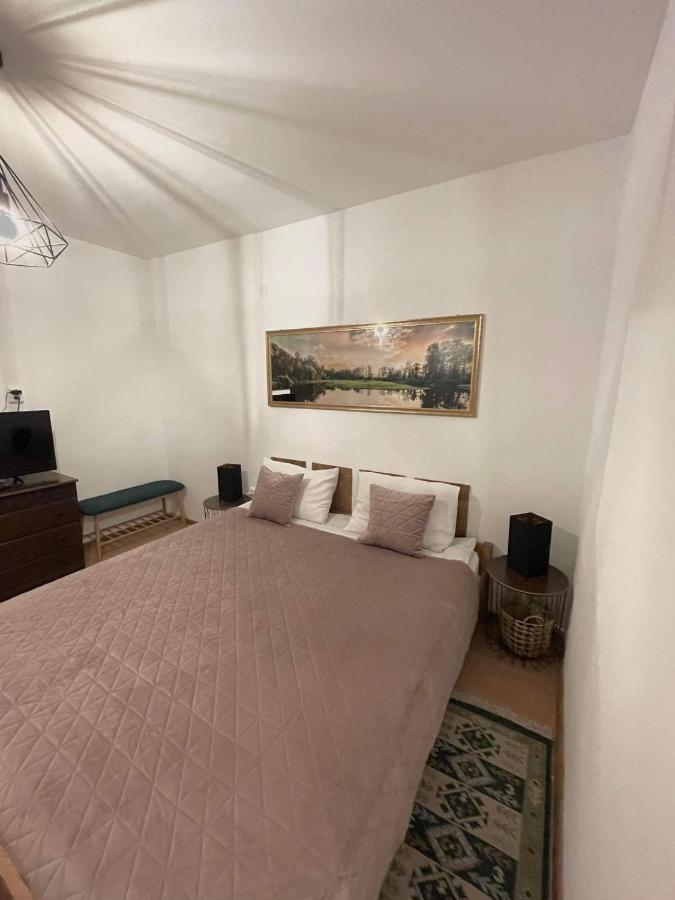 Cm Studio Apartment Sighisoara Exterior photo