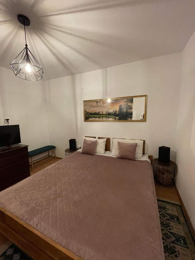 Cm Studio Apartment Sighisoara Exterior photo